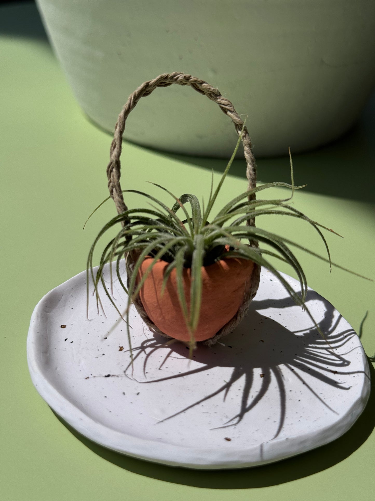 #1 Air Plant with Clay Pot (Magnetic)