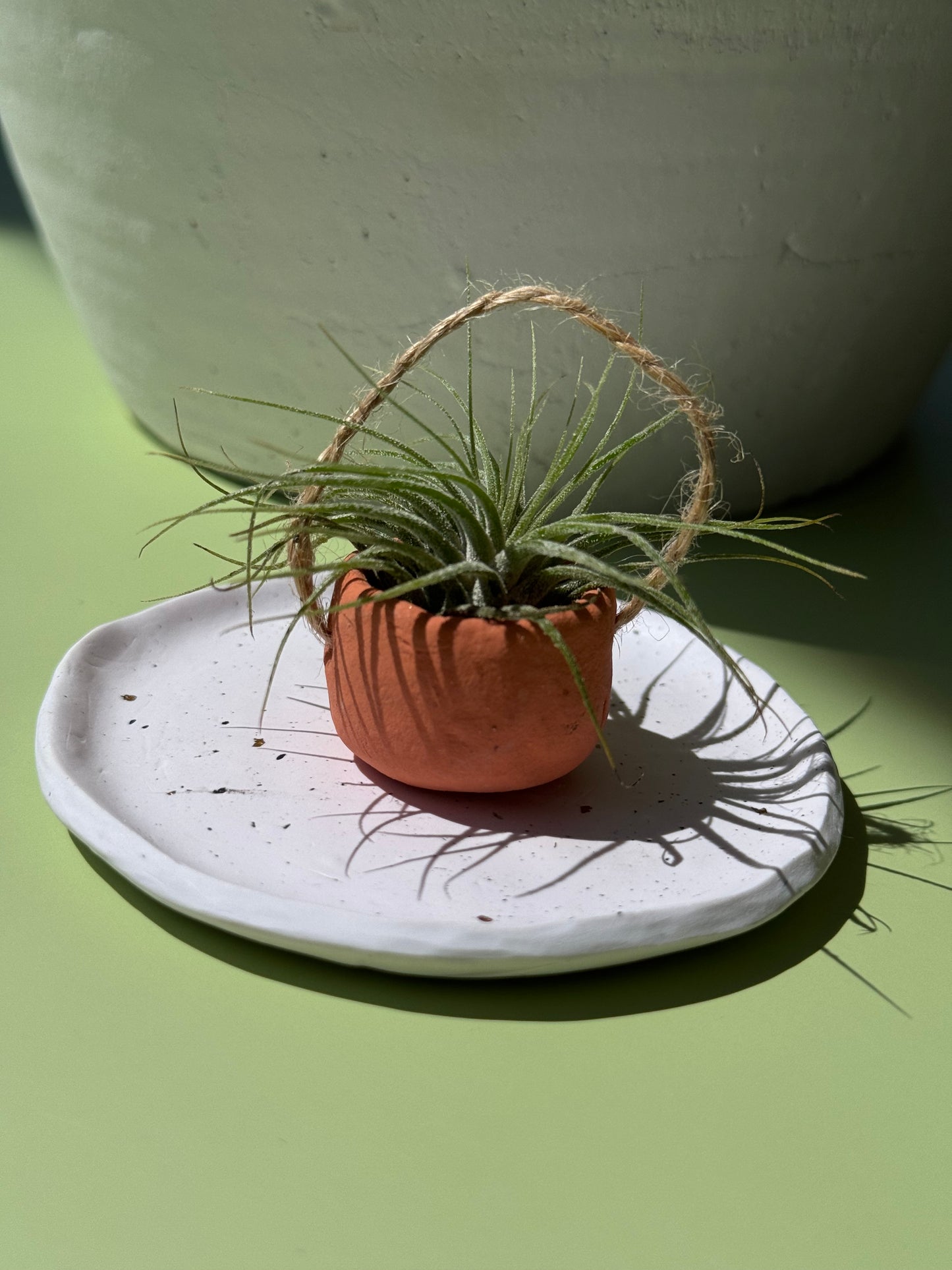 #2 Air Plant with Clay Pot (Magnetic)