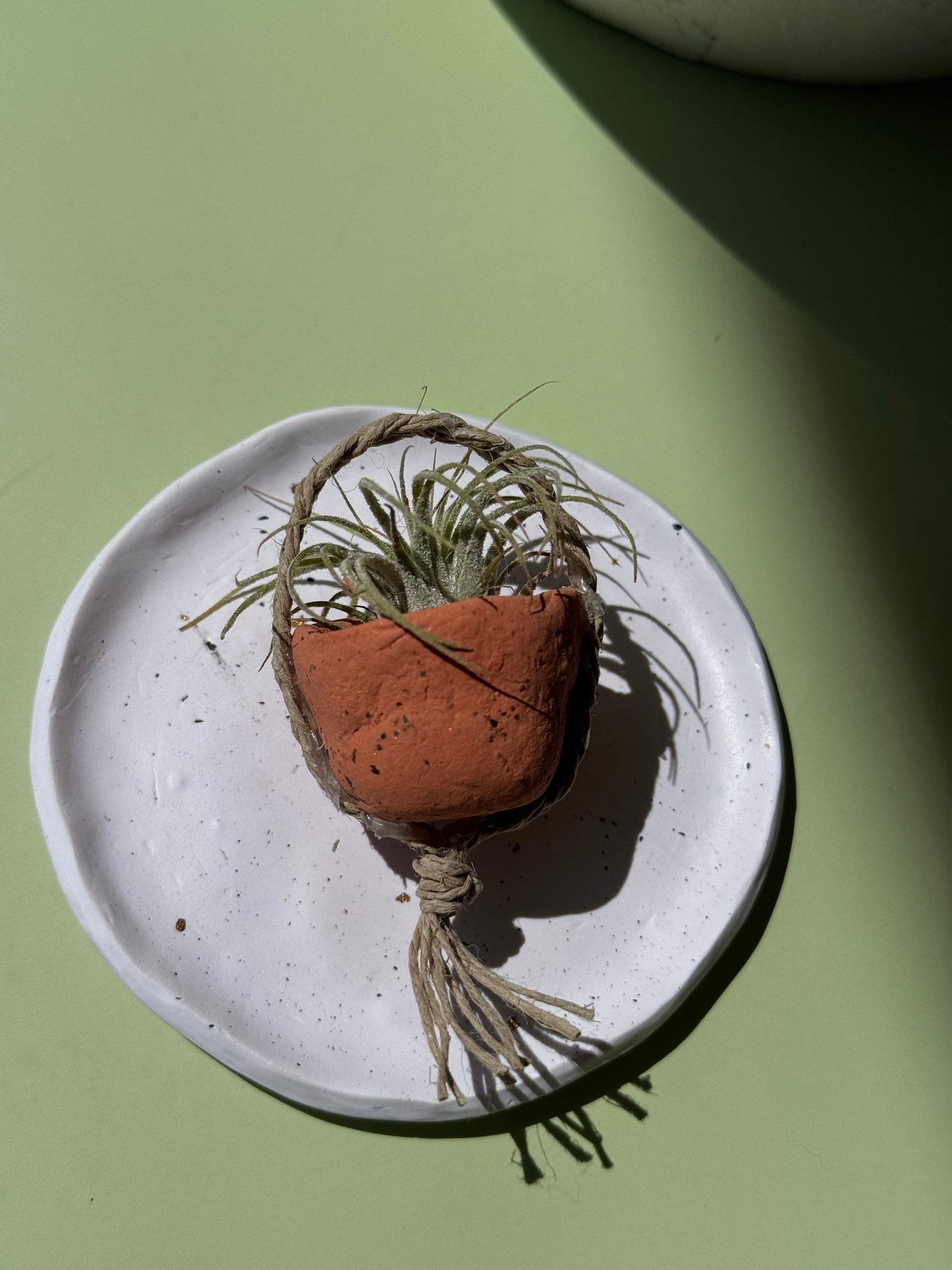 #4 Air Plant with Clay Pot (Magnetic)